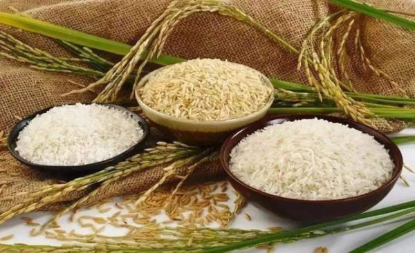 网传粮食危机要到超市囤米 权威：我国粮食充足不需要囤米