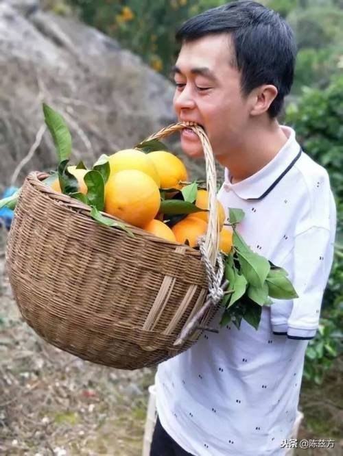 3.6吨血橙无偿捐赠武汉医护